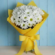Букет цветов из:  Хризантемы в Ащерино