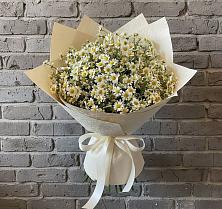 Букет цветов из:  Ромашки #REPLACE_PRED# Ащерино