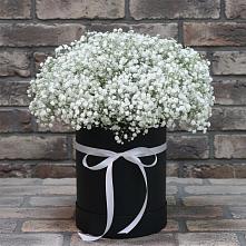 Цветочная композиция из Гипсофила в шляпной коробке #REPLACE_PRED# Ащерино